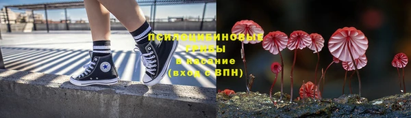 стафф Покровск